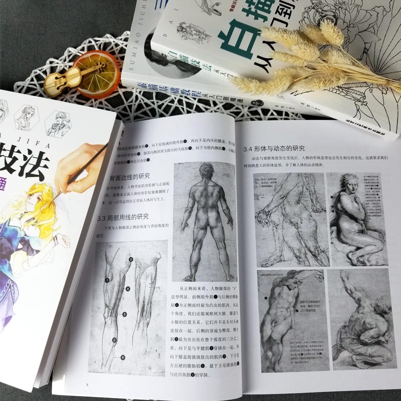 [正版]全四册 素描基础教程从入门到精通+速写人物实用教程+白描技法+漫画技法 画画套装成人素描书入门自学零基础素描教高清大图