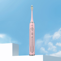 博皓声波电动牙刷家用成人款全自动牙刷学生党软毛牙刷情侣款男女通用电动牙刷 2421/T31