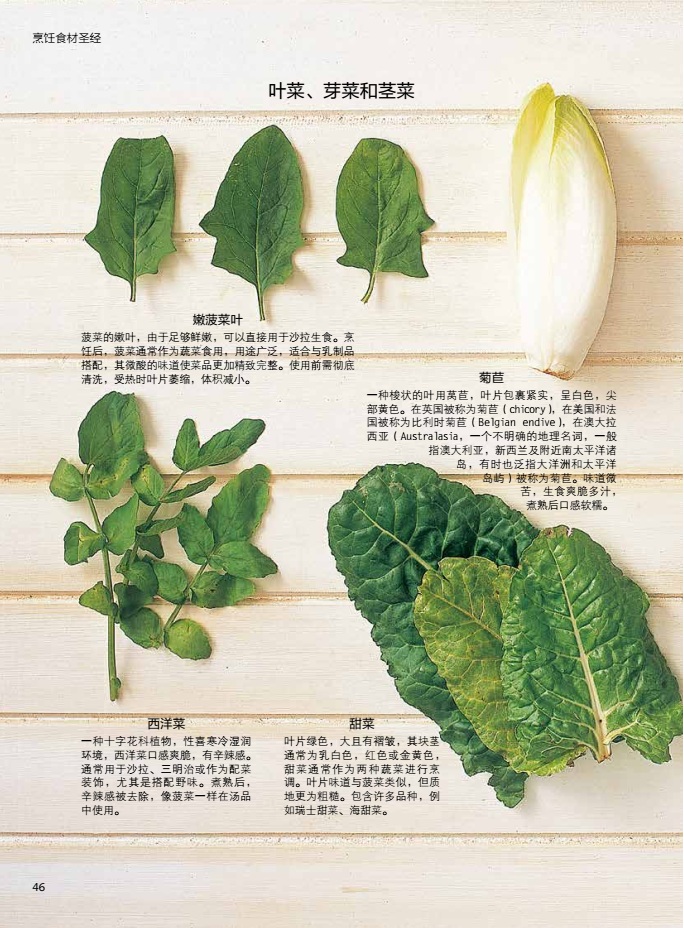 [正版]烹饪食材圣经 餐饮行业职业技能培训教程 中国轻工业出版社高清大图