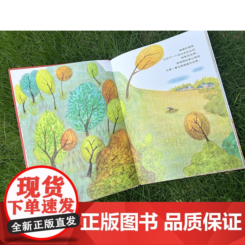 麦田精选图画书 世界上最美丽的东西在哪里?高清大图