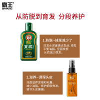 霸王套装育发防脱洗发水 200ml+55ml营养液套装头发增长液营养液男士女士洗发露正品洗发液控油洗头膏(BAWANG)