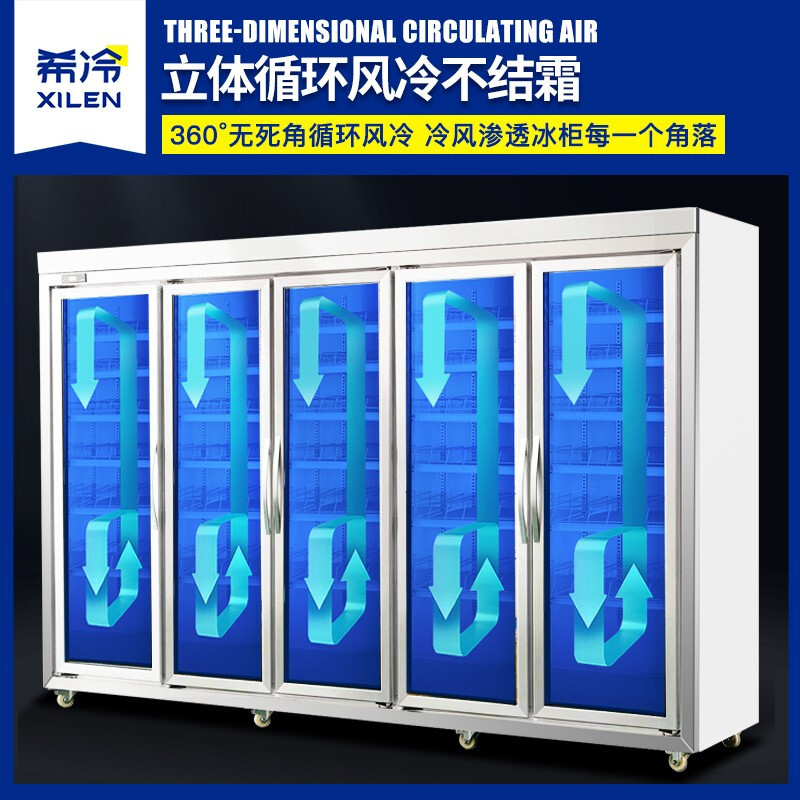 希冷(XILEN)展示柜冷藏超市风冷饮料柜分体机便利店立式冰柜啤酒柜双门三门四门五门六门外置机 六门分体平头展示柜