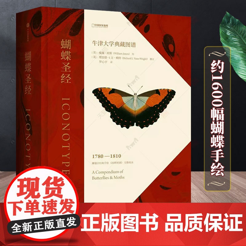 蝴蝶圣经 牛津大学典藏图谱 理查德文赖特等著 牛津大学自然史博物馆典藏图谱 涵盖1600幅画作856个物种 中信正版高清大图
