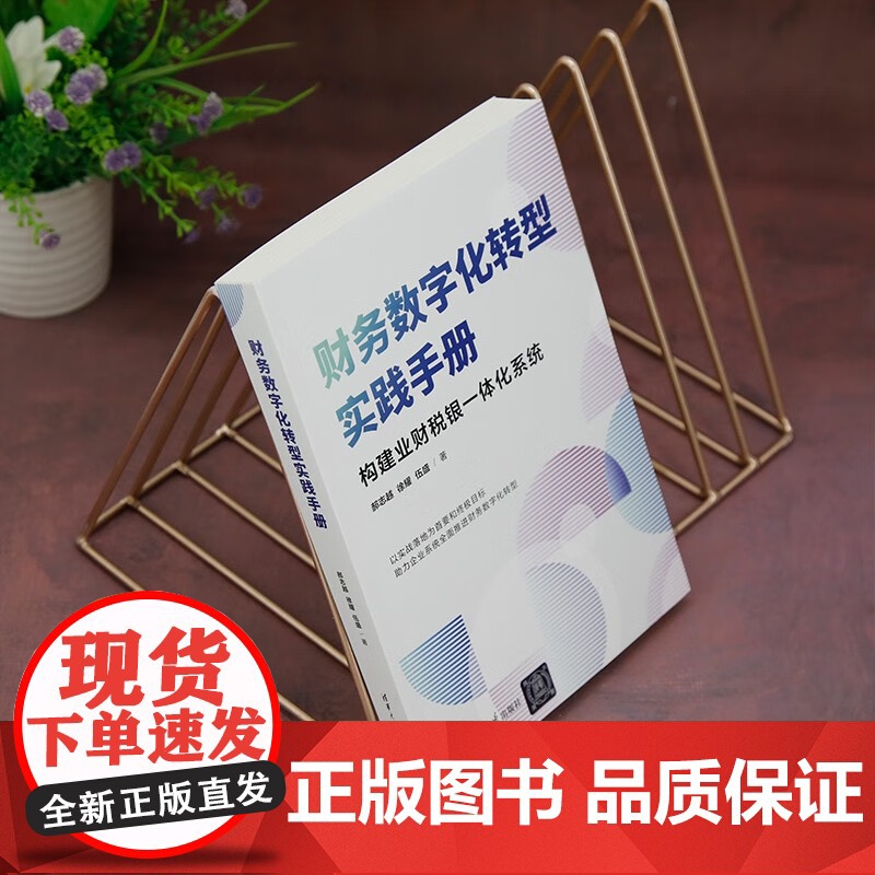 财务数字化转型实践手册 郝志越等 著 管理高清大图