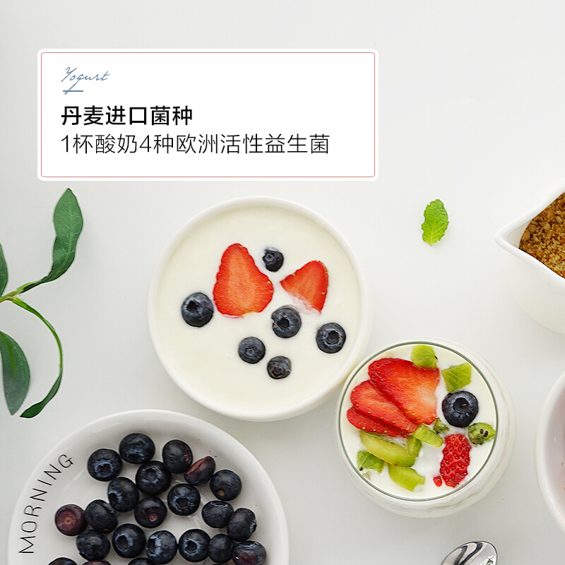 北鼎(Buydeem) 酸奶粉 无添加酸奶粉 原味酸奶粉 盒/100g 原味