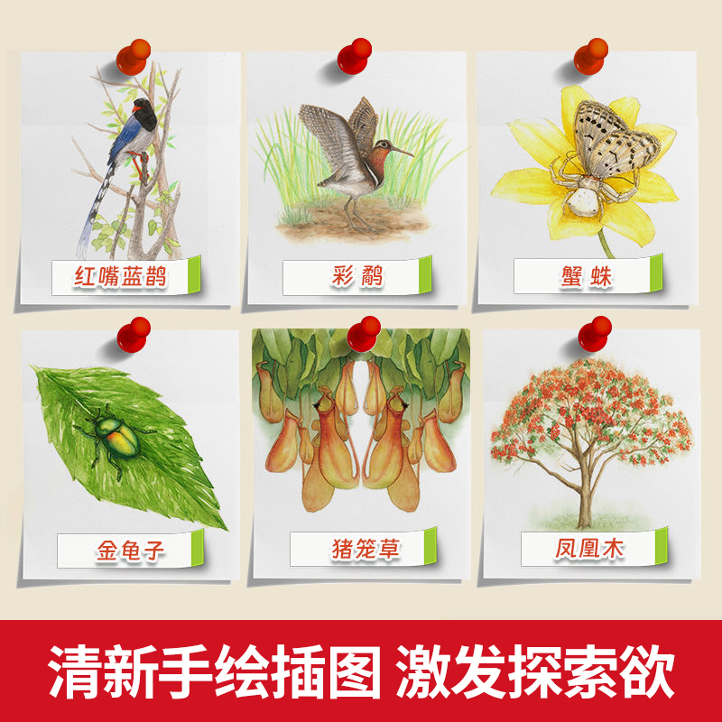 自然里的文学课 (全3册) [正版]自然里的文学课 全3册 何腾江著 自然观察日记趣味百科 蒲公英说走就走 不怕脑震荡的