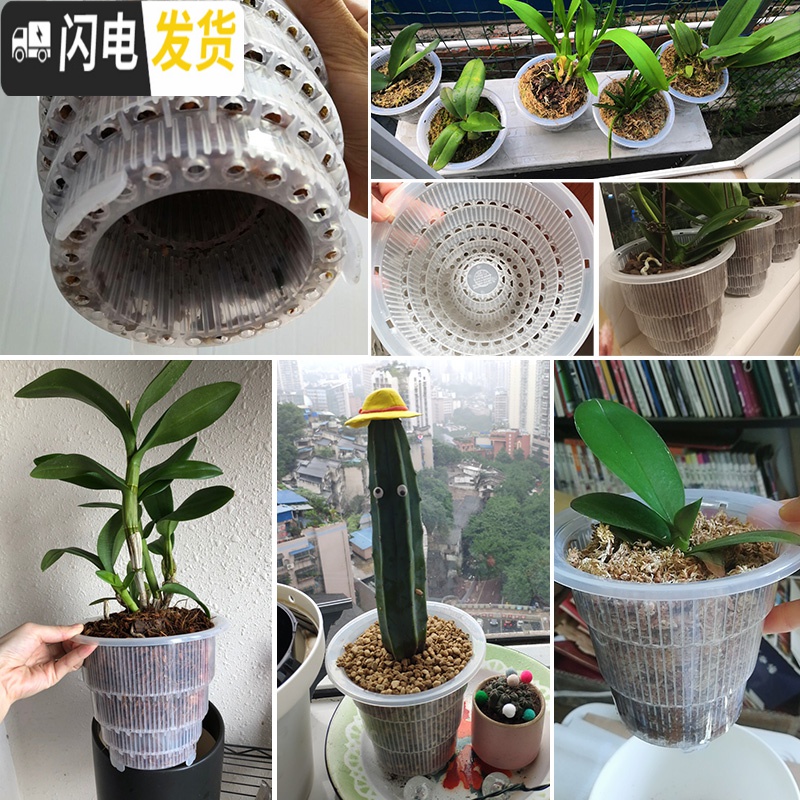 三维工匠美莳控根花盆石斛专用盆 透气 洋兰花盆蝴蝶兰盆塑料花盆创意透明 2只10cm黑色盆无空气柱 小花盆容器高清大图