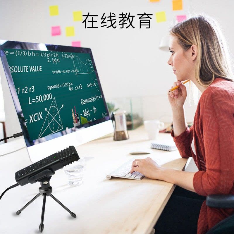 得胜(TAKSTAR)PH120全民K歌手机麦克风专用内置声卡苹果安卓电脑直播通用设备音响一体话筒图片