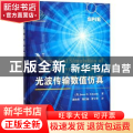 光波传输数值仿真