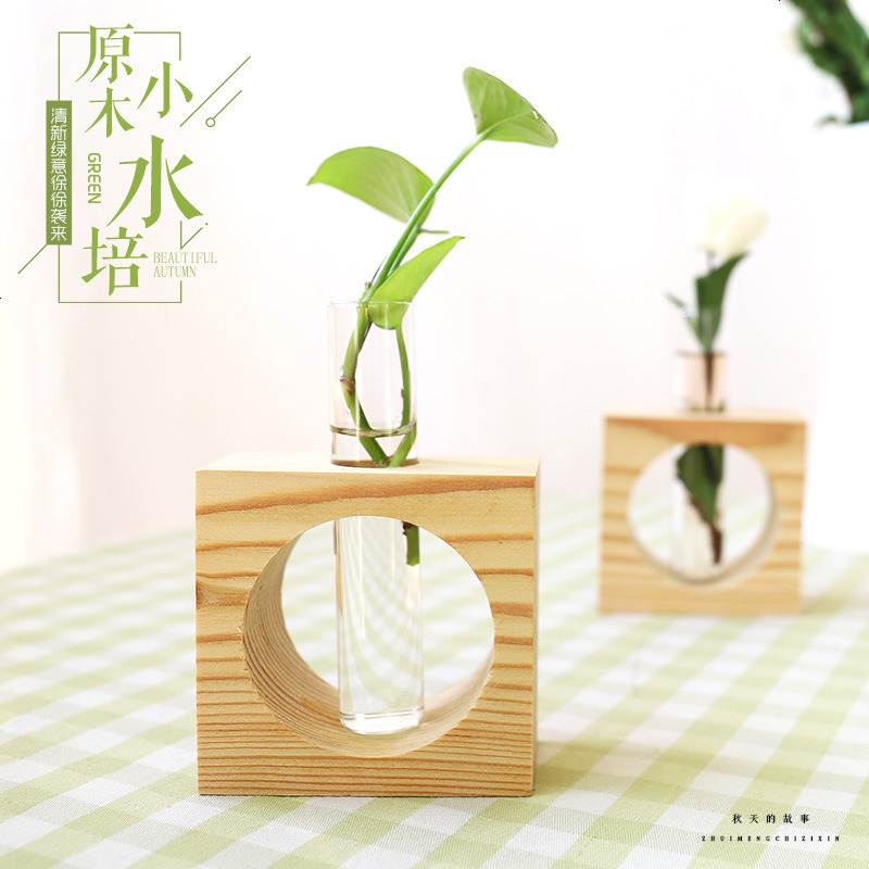北欧风创意水培摆件 玻璃瓶植物水培办公桌面 电视柜摆设家居装饰