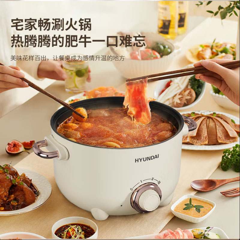 HYUNDAI电热锅(电火锅)JZ-22A 2.5L JZ-22A高清大图