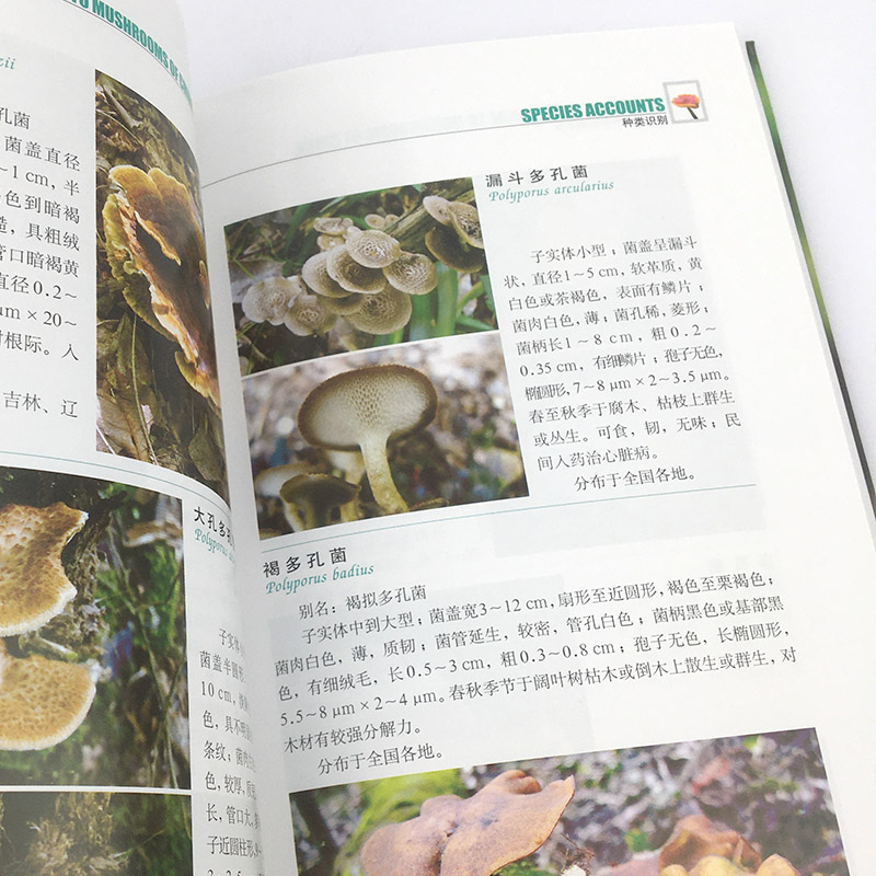 [正版]常见蘑菇野外识别手册 好奇心书系 蘑菇分辨手册 户外探险b备书籍、荒野求生、郊游书籍 可食用和不可食用蘑菇高清大图