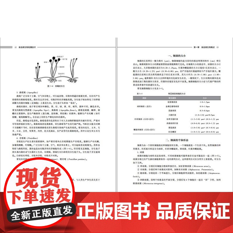 教材.食品微生物检测技术(高等学校食品质量与安全专业适用教材/中国轻工业“十四五”规划立项教材)杜欣军出版年份2023年高清大图
