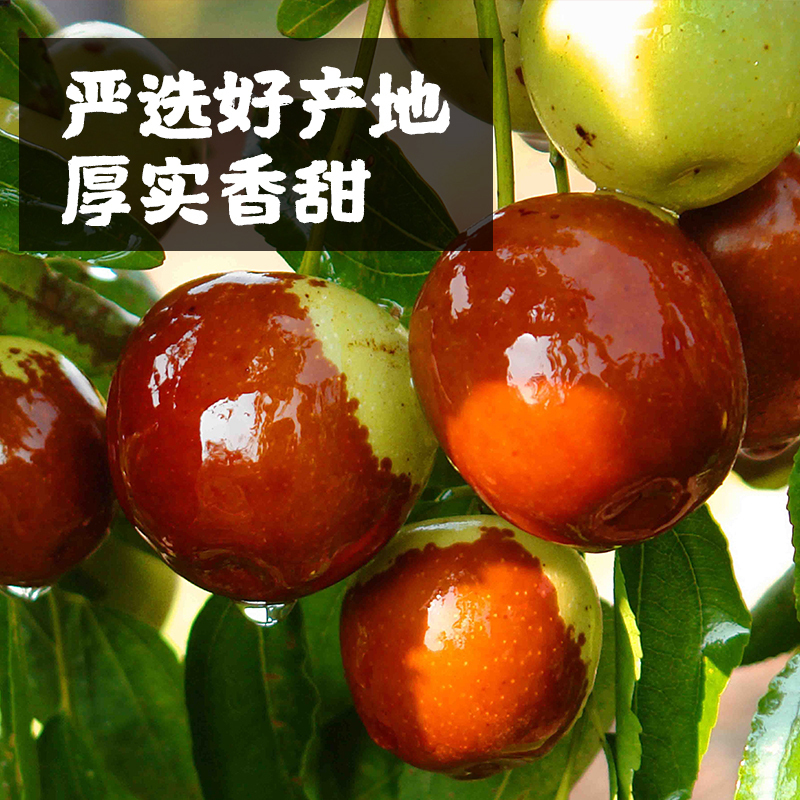 真庄脆冬枣大荔冬枣新鲜脆冬枣新鲜脆甜冬枣青枣特级枣红枣大枣河北沧州无核去核大个酥脆120克/罐装冬枣蜜饯好脆冬枣零食小吃
