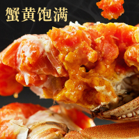 苏州精品大闸蟹鲜活六月黄螃蟹河蟹1.5两8只装公母随机大螃蟹鲜甜满黄直达到家死蟹包赔