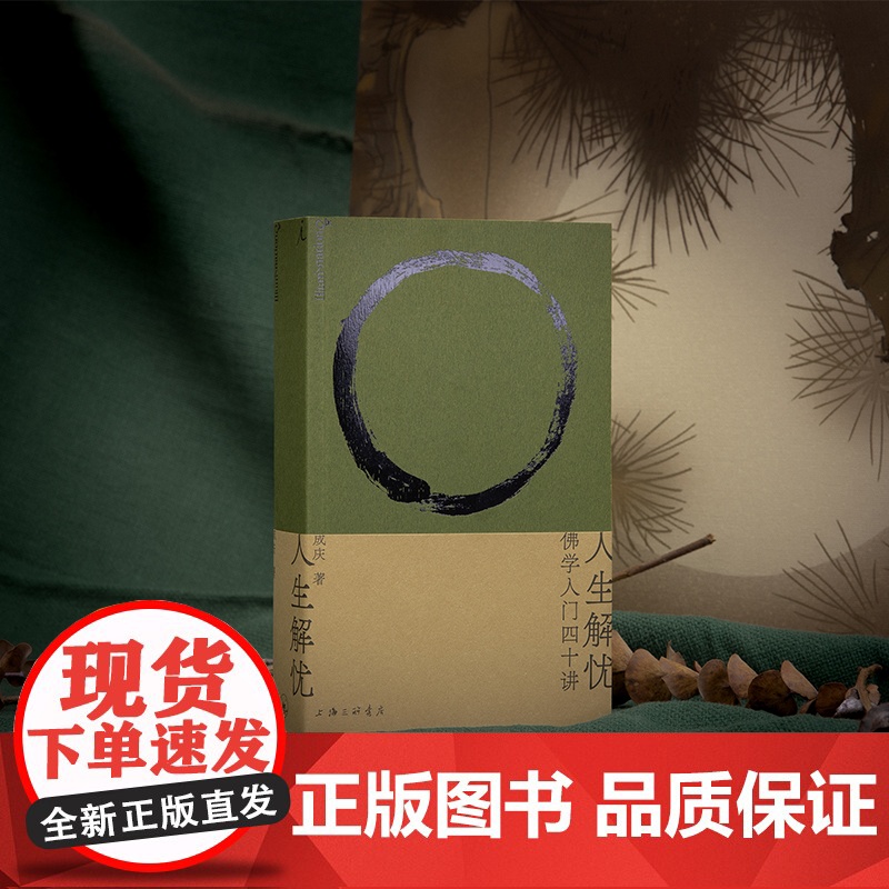 理想国 | 人生哲学 人生解忧:佛学入门四十讲 成庆 用佛学智慧回应现代人的心灵困境 大哲学家思想家 存在与时间读本 打高清大图