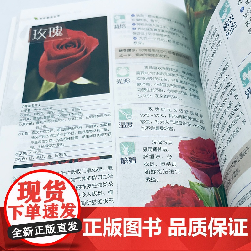 正版 居家健康花草彩色图解健康养花工具书花艺书籍花园书养花书籍植物书籍室内绿植完整手册多肉书籍盆景书籍植物 景书籍植物高清大图