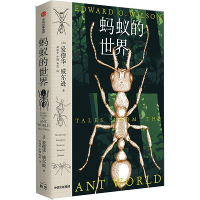 醉染图书蚂蚁的世界9787521735017