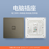 飞雕(FEIDIAO)开关插座 86型家用暗装超大面板PC支架 品意系列家用插座 品意灰电脑插