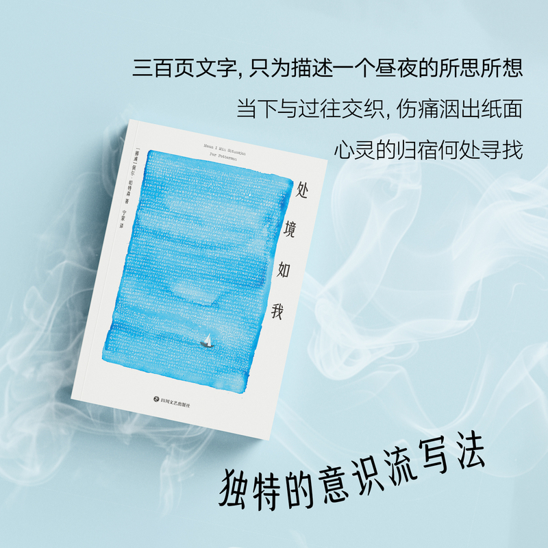 [正版]处境如我 佩尔·帕特森 充满北欧的寂静与冷冽 三百页描述孤独灵魂一个昼夜的所思所想 外国小说 大鱼读品 图书高清大图