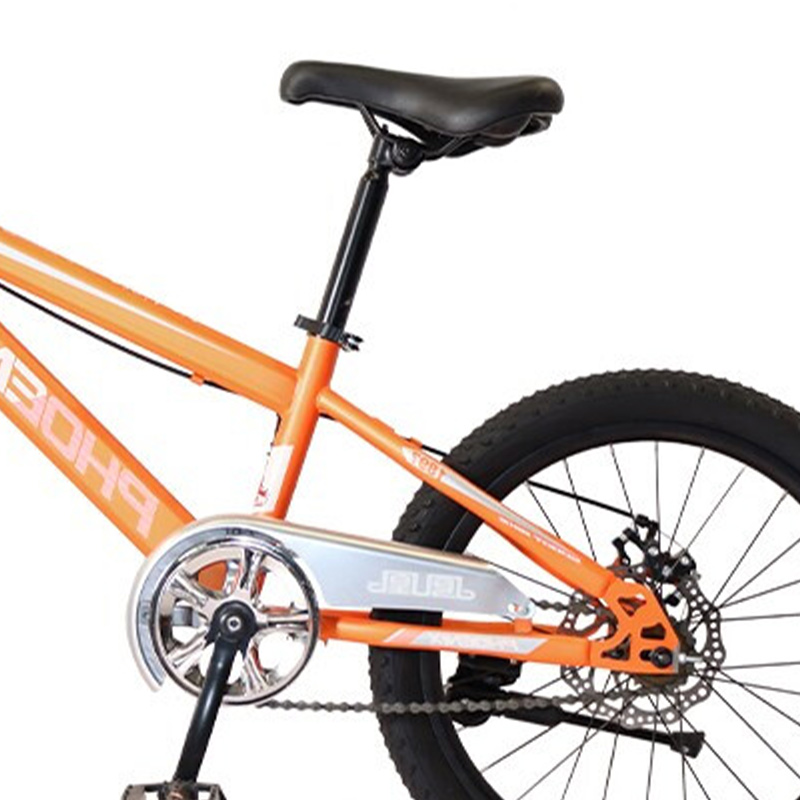 凤凰(PHOENIX) 20寸学生自行车-贝塔 TT-20 (辐条轮)橘高清大图