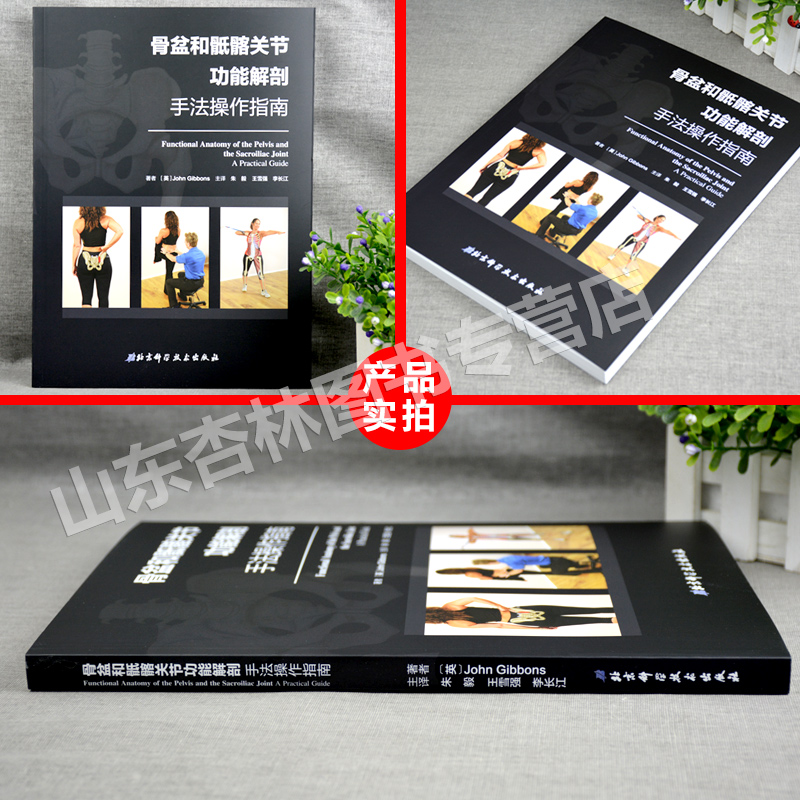 [正版] 骨盆和骶髂关节功能解剖手法操作指南 涵盖评估分析运动 肌肉 能量 技术及替代技 北京科技出版社高清大图
