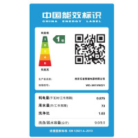 LG洗衣机WD-N51VNG21 9公斤滚筒 DD变频直驱电机 6种智能手洗 智能诊断 95°煮洗 洁桶洗