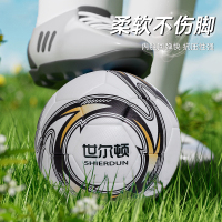 世尔顿(SHIERDUN) 足球 SEDZ-2013 个