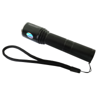 PG 防爆强光手电筒 PG-F1011 /个