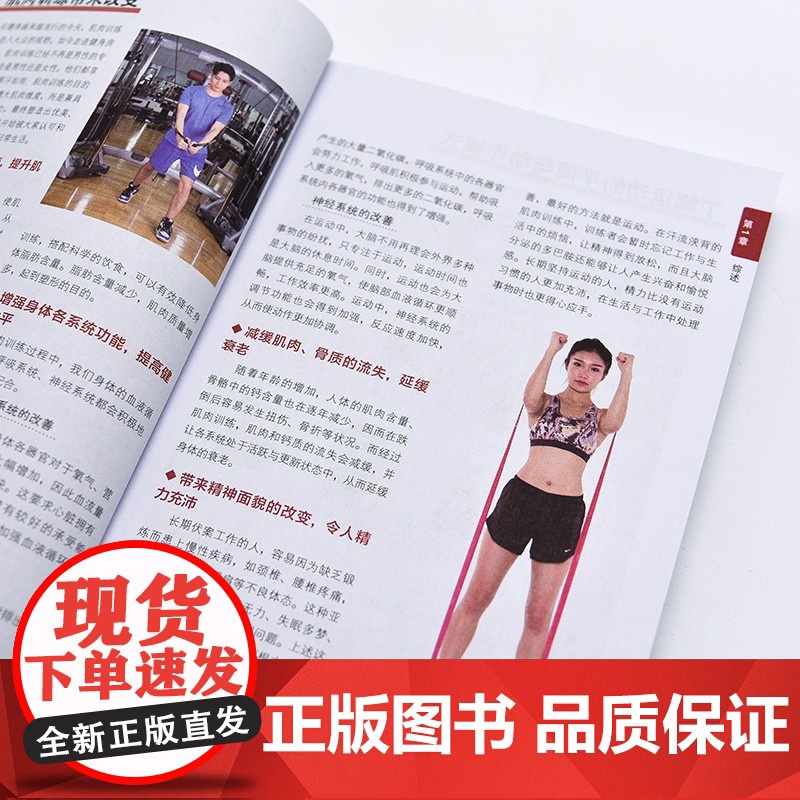 人体运动彩色解剖图谱 肌肉训练百科全书 人邮体育解剖图谱编写组 编著 运动健身高清大图