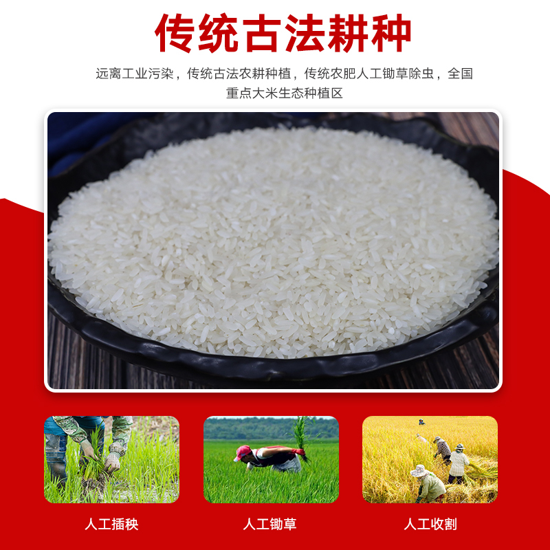 桂鼎 福相迎九七香米2.5kg 优质大米香米