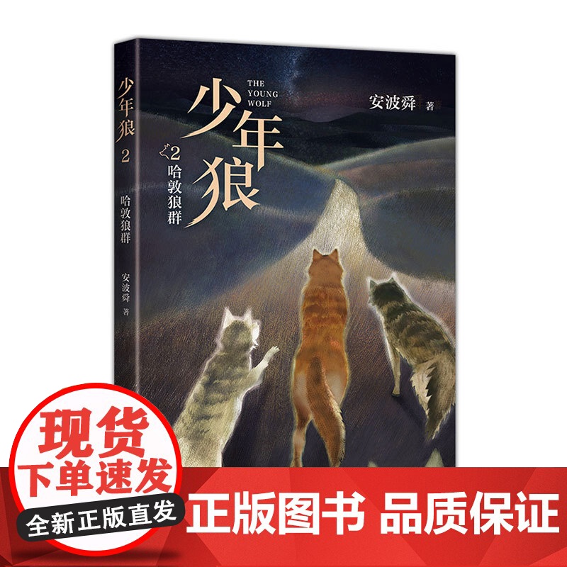 少年狼2 哈敦狼群 中国版狮子王 让孩子学会自我成长 精美插图四色印刷适合亲子共读与大语文教育 周国平 狼图腾 爱心树高清大图