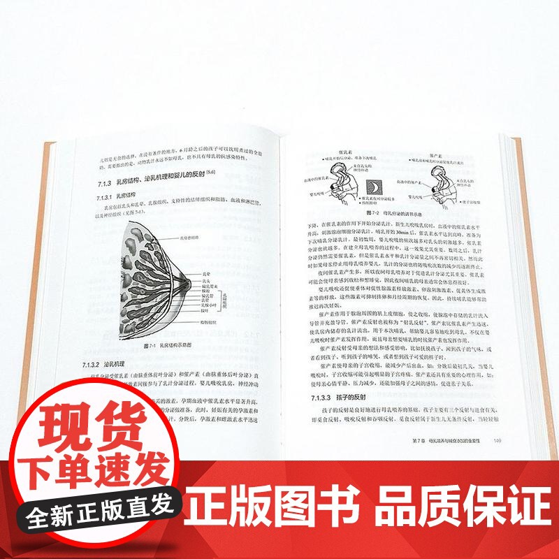 生命早期1000天营养改善与应用前沿 婴幼儿精准喂养 我国婴幼儿看护喂养特点喂养策略 婴幼儿看护喂养 婴幼儿精准喂养极早高清大图