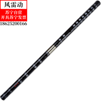 风雷动乐器笛子两节可拆竹笛批发初学CDEFG调琴行学校教学C调