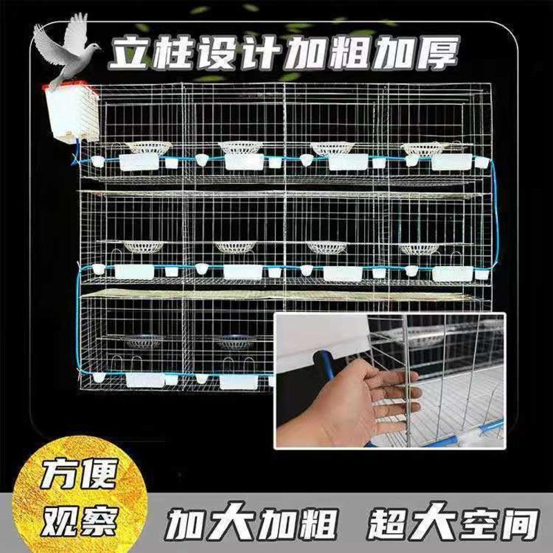 加粗4位裸笼(1米) 加粗鸽子笼养殖笼鸽子用品用具大号肉鸽繁殖配对鸽子笼子家用鸽棚