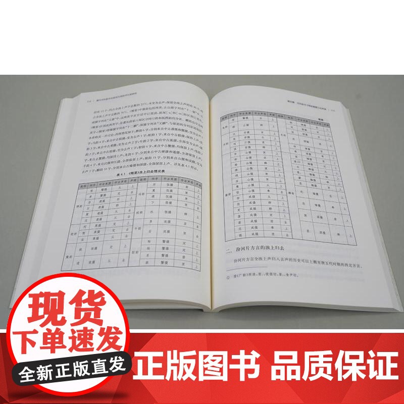 清代河东韵书与官话方言韵书比较研究 余跃龙上海辞书出版社官话方言音韵学语言学高清大图