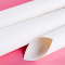秦泰(Cqint)QTBZ-01 白卡纸A1大白纸150g 10张/包