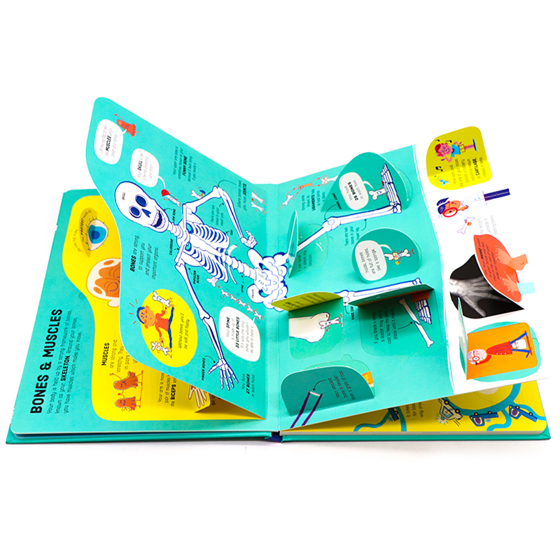 [正版]Usborne出品 人体器官运作原理Lift-the-Flap How Your Body Works 英文原高清大图