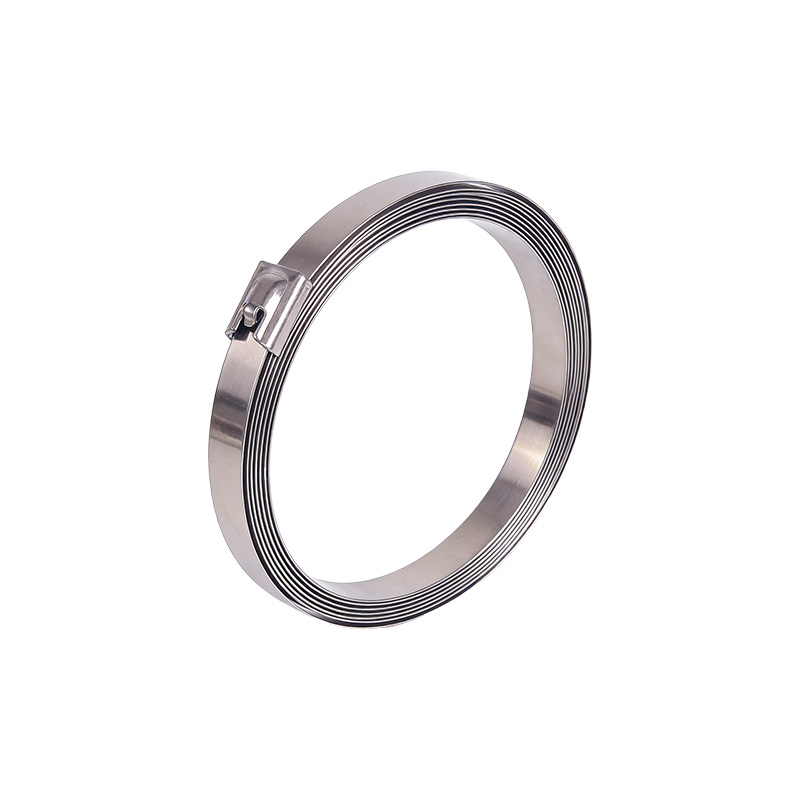 斯赞 304不锈钢扎带自锁式捆绑扎带 16*3000mm 根