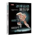 冰球运动解剖学