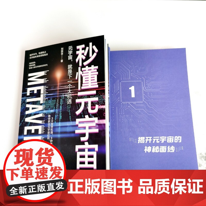 秒懂元宇宙 刘奕含 著 经济高清大图