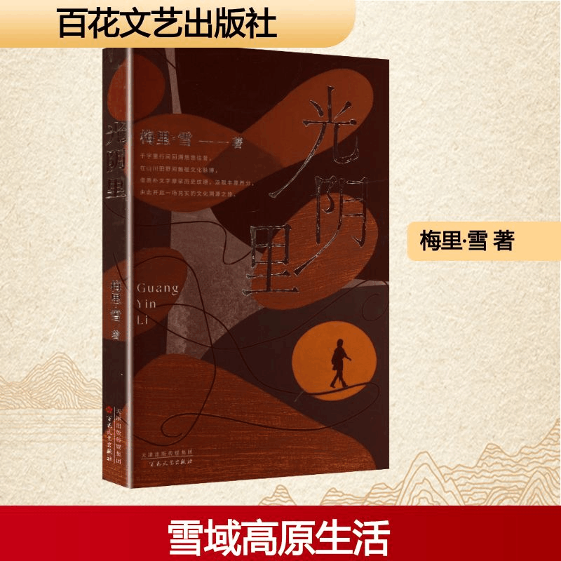 正版新书]光阴里梅里·雪 著 著9787530691755图片