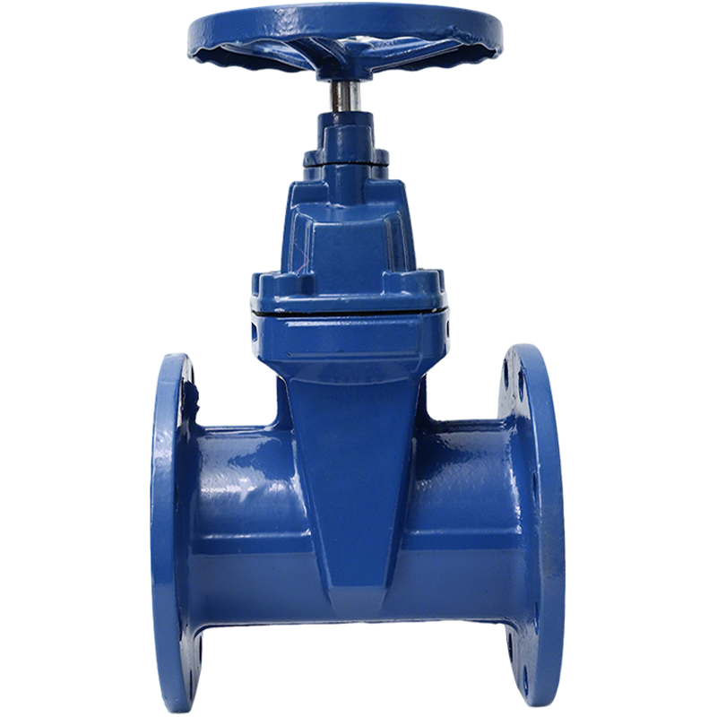 卡西斯顿 球墨铸铁闸阀 DN65 个高清大图