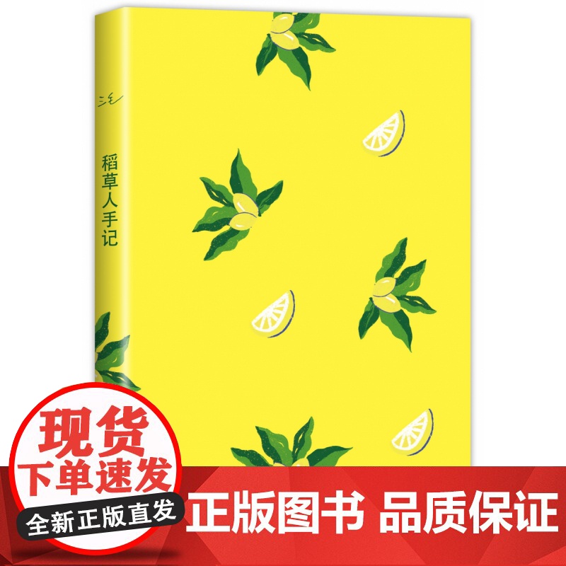 稻草人手记 三毛 三毛全集 华语文学 正版 撒哈拉的故事高清大图
