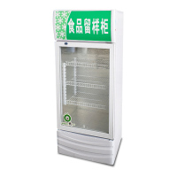 乐创(lecon)商用留样柜 260L迷你冷藏保鲜小冰箱 LC-J-LYG03