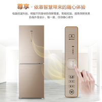 Haier/海尔 BCD-269WDGB 269升 双门冰箱 家用 冷藏冷冻 风冷无霜 节能双开门电冰箱两门 电脑控温