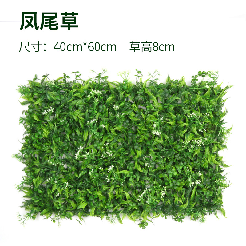 绿植墙仿真植物草坪墙 凤尾草加密草坪