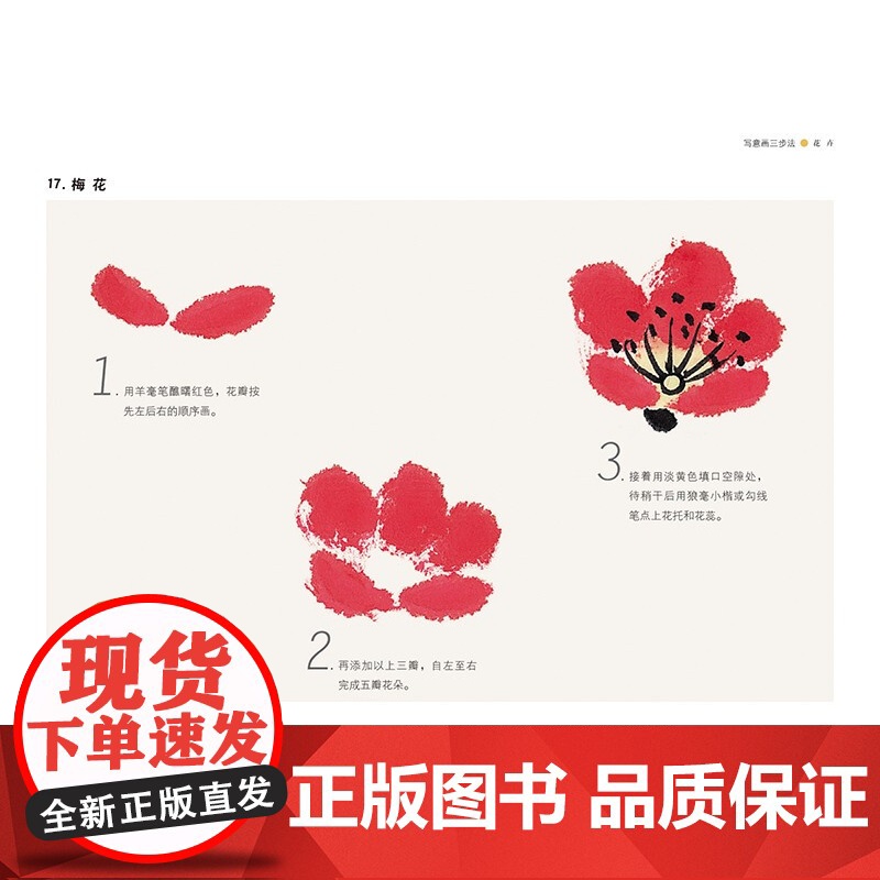 新版 写意画三步法蔬果花卉草虫 颜康文编绘书画入门系列水墨国画中国绘画上海人民美术出版社高清大图