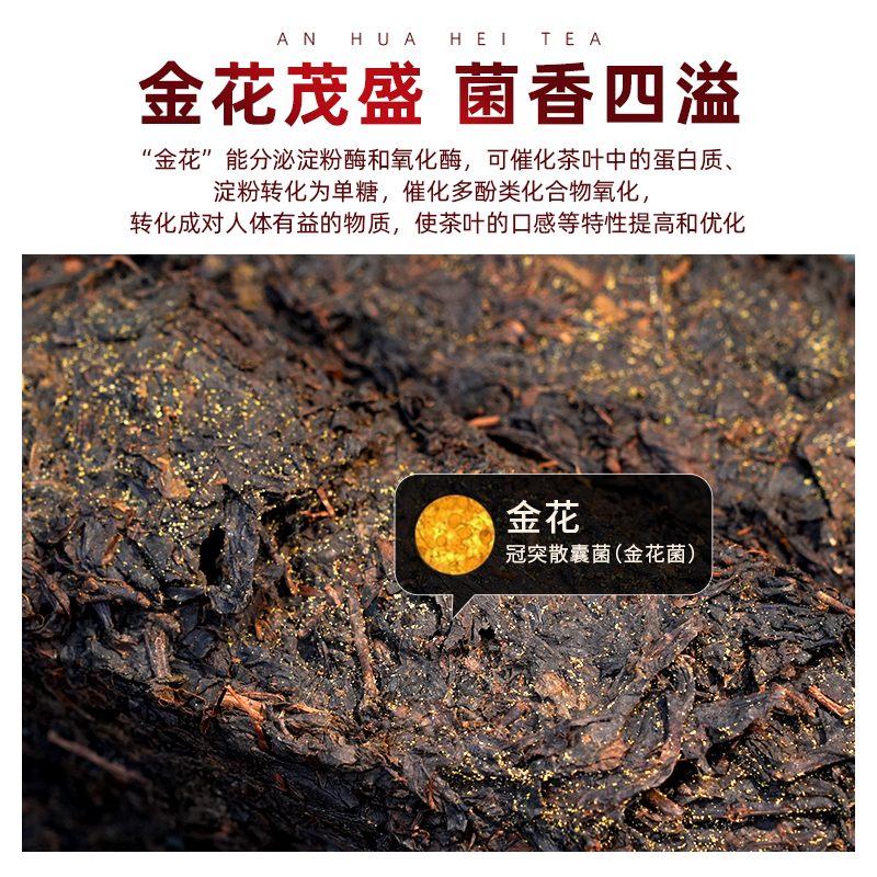 安化黑茶特级金花茯茶2014高档年货节茶叶礼盒送人600g高清大图