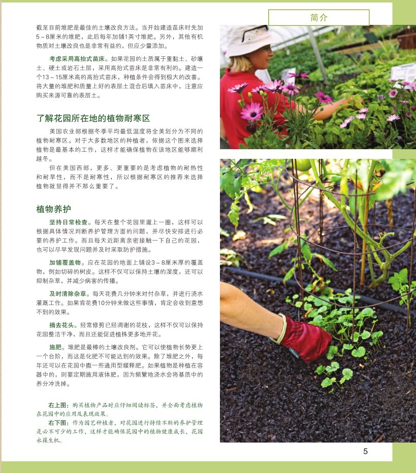 [醉染正版]bjy正版 花坛与花境设计 绿手指园艺丛书 家庭园艺 养花书籍 养花工具书 休闲爱好 养花技巧 花园打理 生高清大图